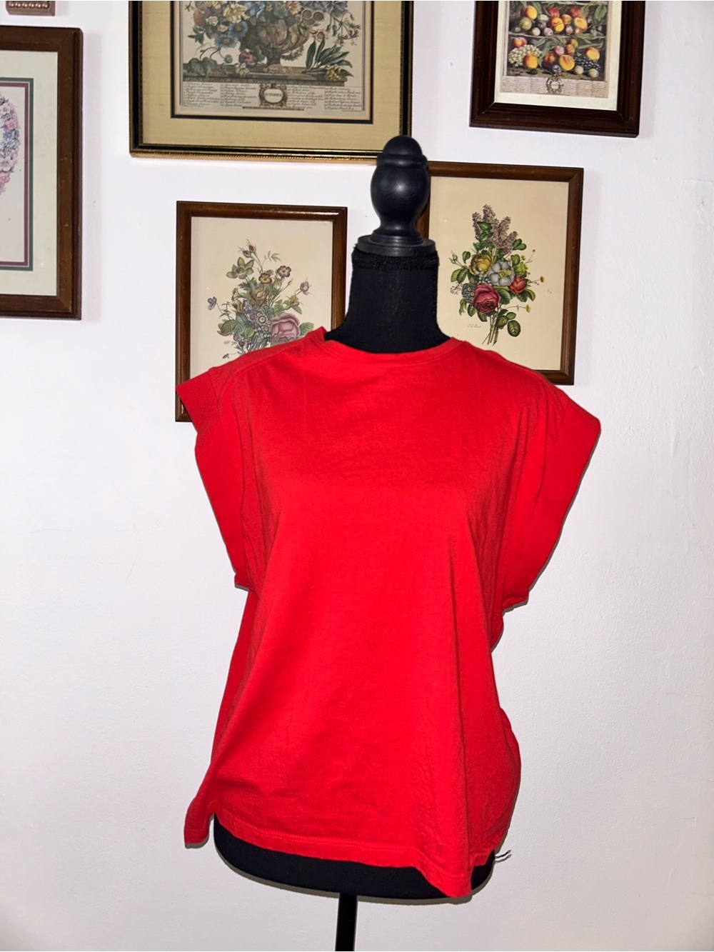 Zara Red Cap-Sleeve Crewneck Top